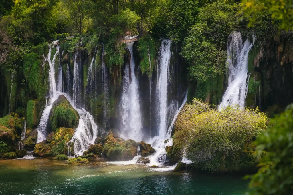 Kravice